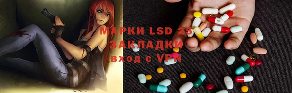 ПСИЛОЦИБИНОВЫЕ ГРИБЫ Кукмор