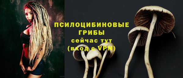 ПСИЛОЦИБИНОВЫЕ ГРИБЫ Кукмор