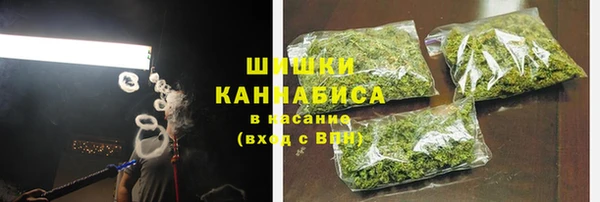ПСИЛОЦИБИНОВЫЕ ГРИБЫ Кукмор
