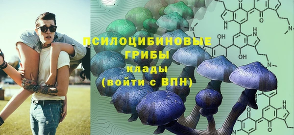 ПСИЛОЦИБИНОВЫЕ ГРИБЫ Кукмор