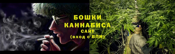 ПСИЛОЦИБИНОВЫЕ ГРИБЫ Кукмор
