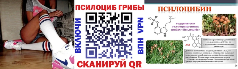 Галлюциногенные грибы Psilocybe  Купить  Каневская 